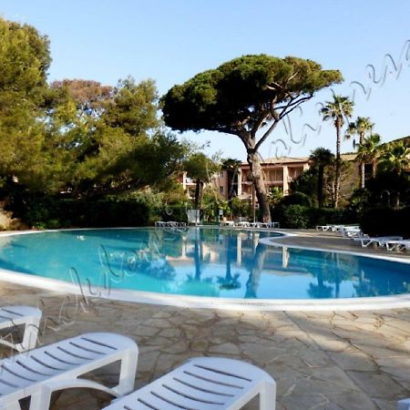 הייר Magnifique Parc De La Presqu'Ile Avec Piscine Et Plage Face A Porquerolles ! מראה חיצוני תמונה