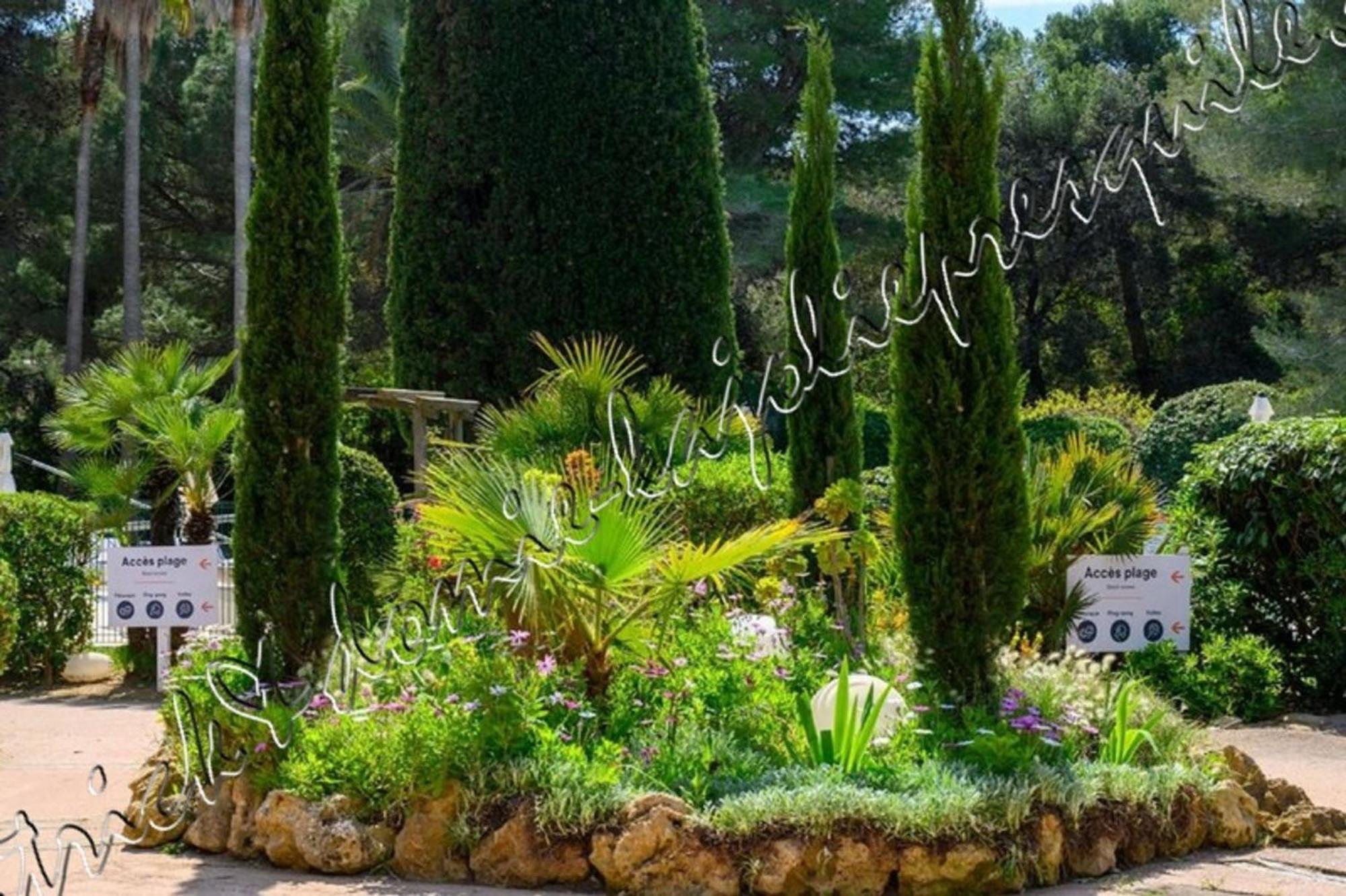 הייר Magnifique Parc De La Presqu'Ile Avec Piscine Et Plage Face A Porquerolles ! מראה חיצוני תמונה