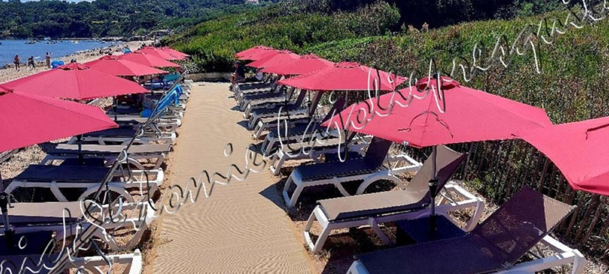 הייר Magnifique Parc De La Presqu'Ile Avec Piscine Et Plage Face A Porquerolles ! מראה חיצוני תמונה