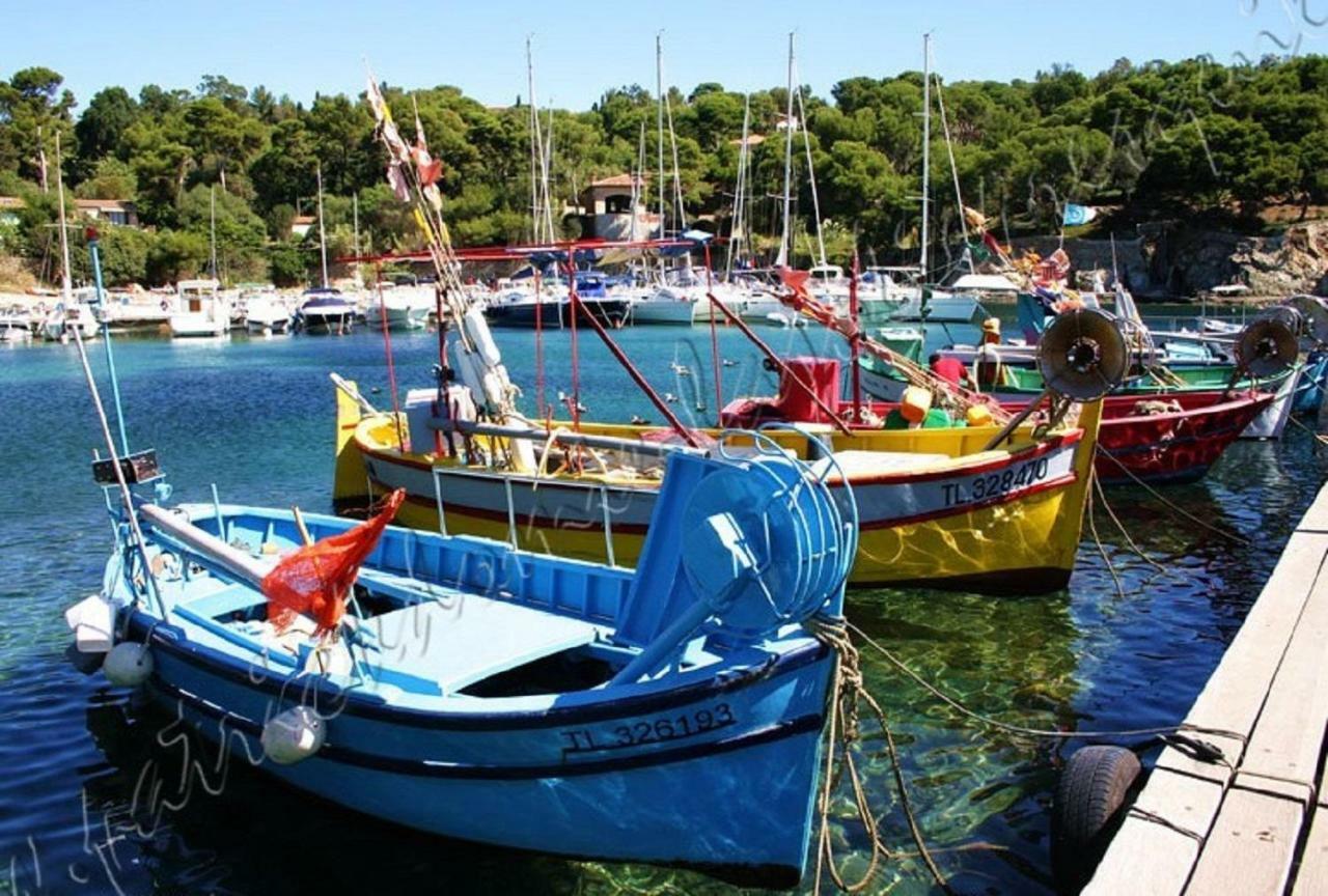 הייר Magnifique Parc De La Presqu'Ile Avec Piscine Et Plage Face A Porquerolles ! מראה חיצוני תמונה
