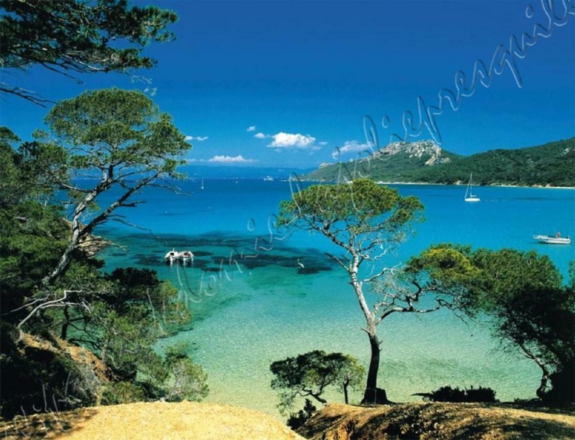 הייר Magnifique Parc De La Presqu'Ile Avec Piscine Et Plage Face A Porquerolles ! מראה חיצוני תמונה