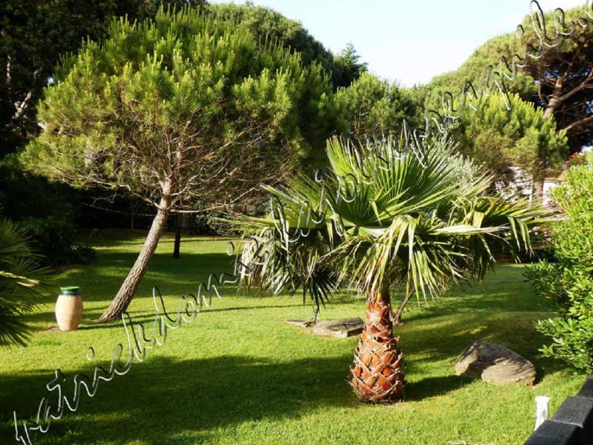 הייר Magnifique Parc De La Presqu'Ile Avec Piscine Et Plage Face A Porquerolles ! מראה חיצוני תמונה